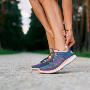 tendons in ankle