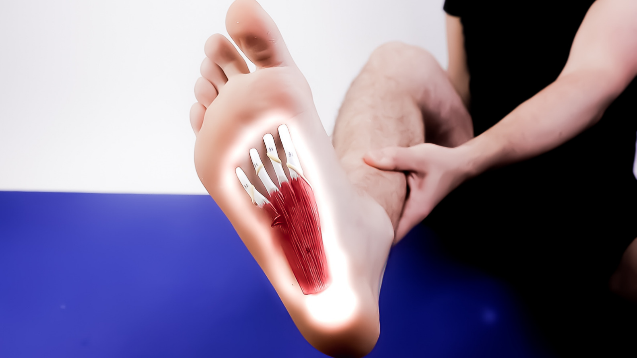 plantar fascia