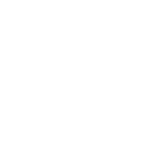 ankle and leg products