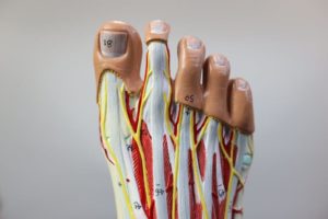 Pinched Nerve in the Foot: Causes & Best Treatment 2020!