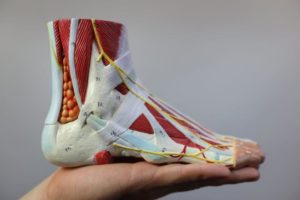 foot Pain Under Ankle: Best Diagnosis and Treatment