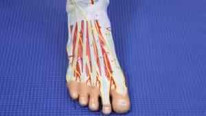 What Causes Night Toe Cramps? Causes & Best Home Treatment 2020!