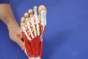 Foot Neuralgia: Causes, Symptoms & Best Treatment