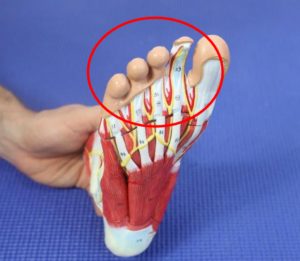 Middle Toe Pain: Causes, Symptoms & Best Home Treatment