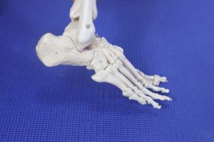 Foot Pain Along the Outside of the Foot 13 Outside of the ankle pain