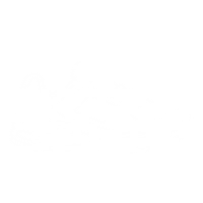 Plantar Fasciitis Secrets 2026: What Your Doctor Knows