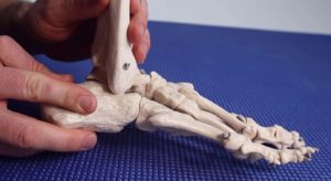 Subtalar joint vs Ankle overpronation