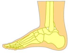 Top of the foot bruising