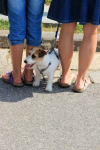 Birkenstock shoes