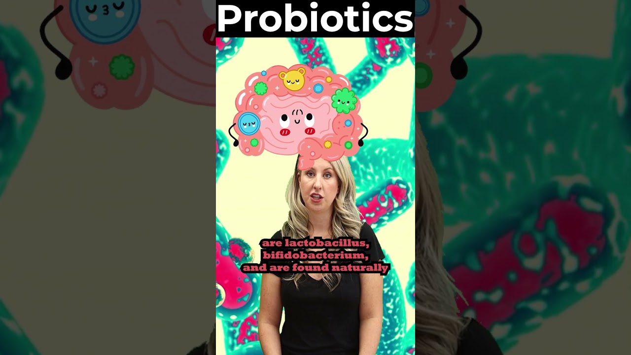 best probiotics what are they and why you need them