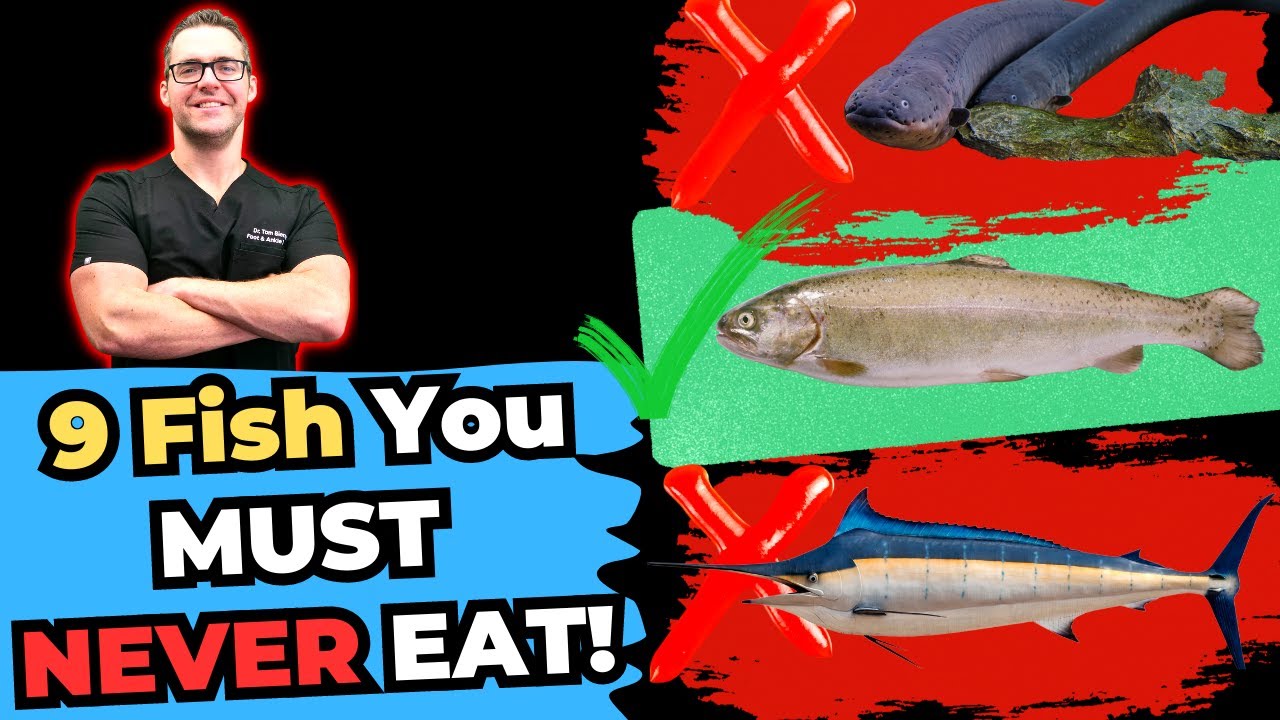 9 fish you must never eat eat these instead