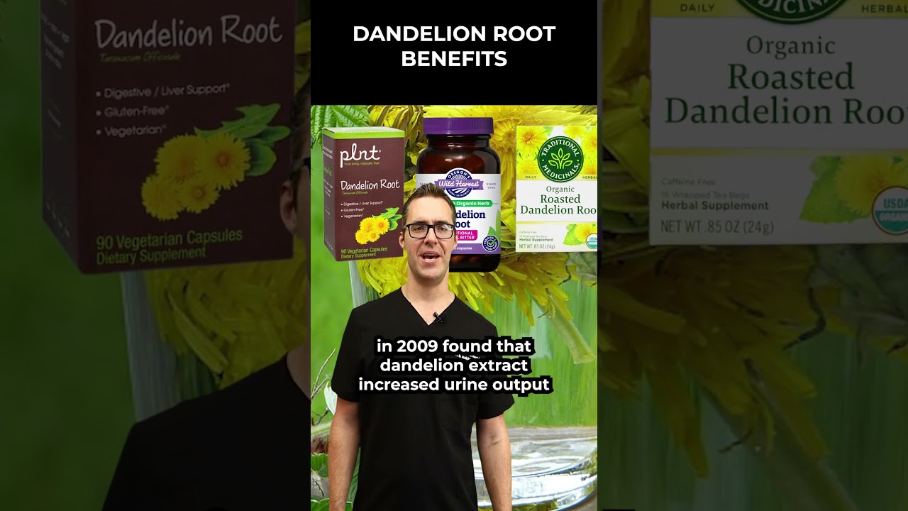 dandelion root benefits side effects pills powder roasted tea