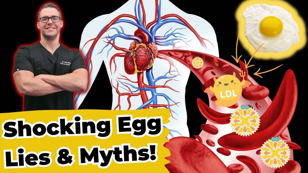 the shocking truth about eating eggs daily heart artery disease