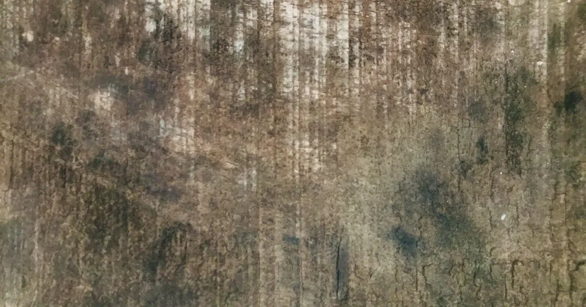 Walking boot for foot fracture recovery - Balance Foot & Ankle, Howell MI