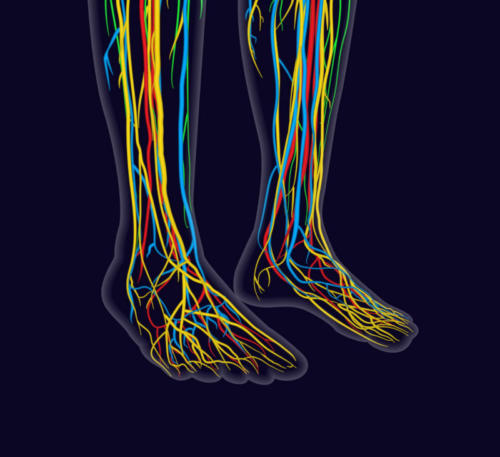 Foot Nerve Pain Foot Cramps