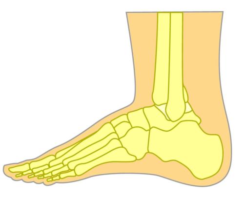 Top of the foot pain lateral view