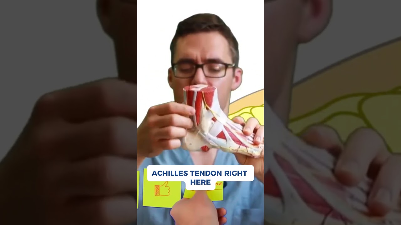 Heel Pain Explained: Here